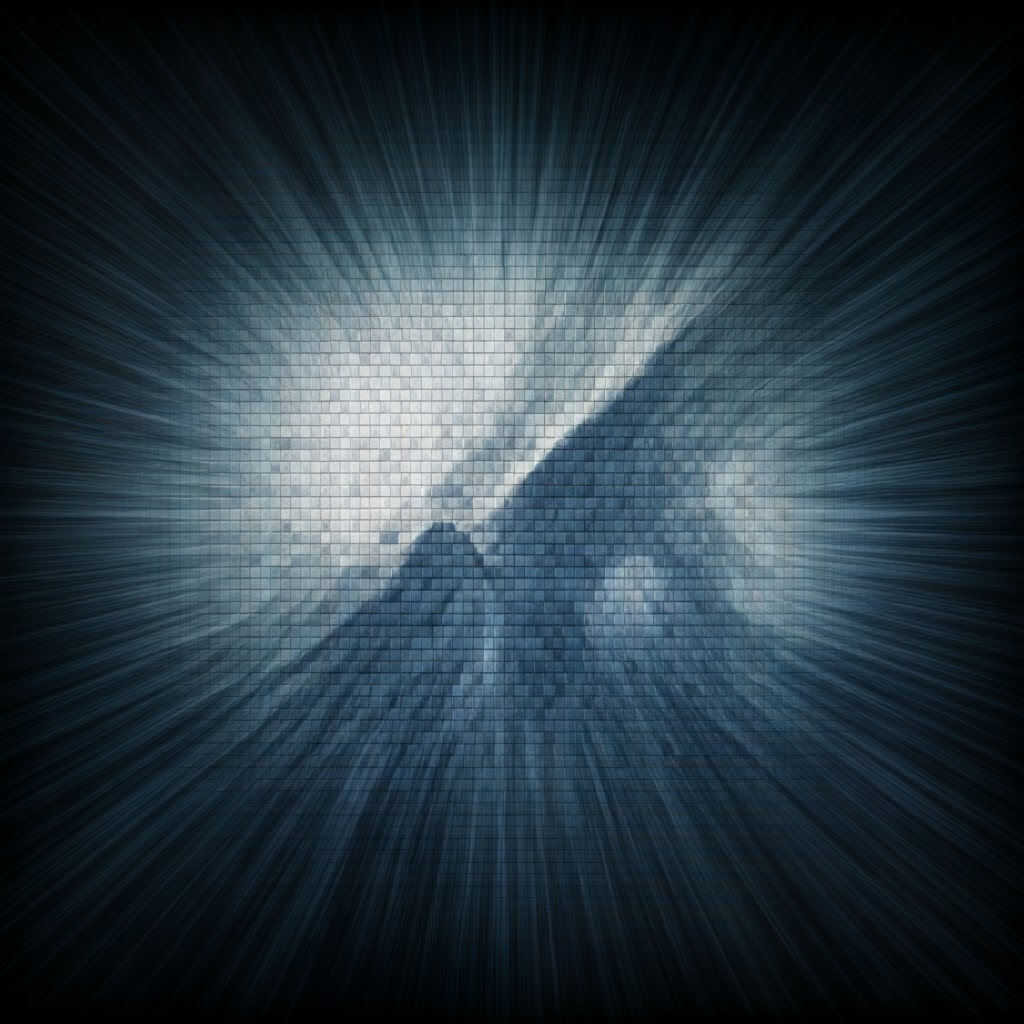 Illustration showing the rainforest’s four layers with animals and dense greenery